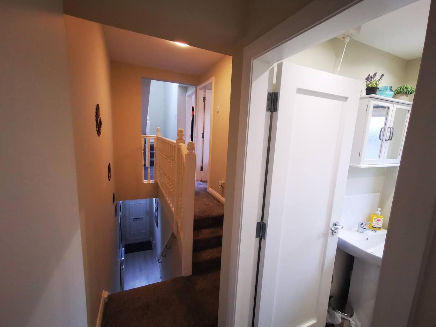 4Br Modern Botanic House Villa Belfast Dış mekan fotoğraf