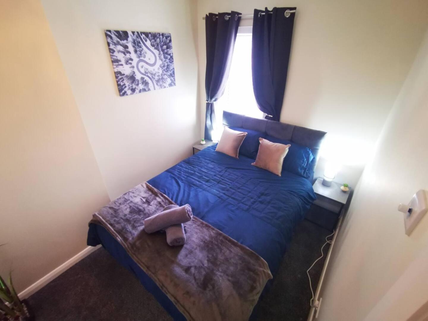 4Br Modern Botanic House Villa Belfast Dış mekan fotoğraf