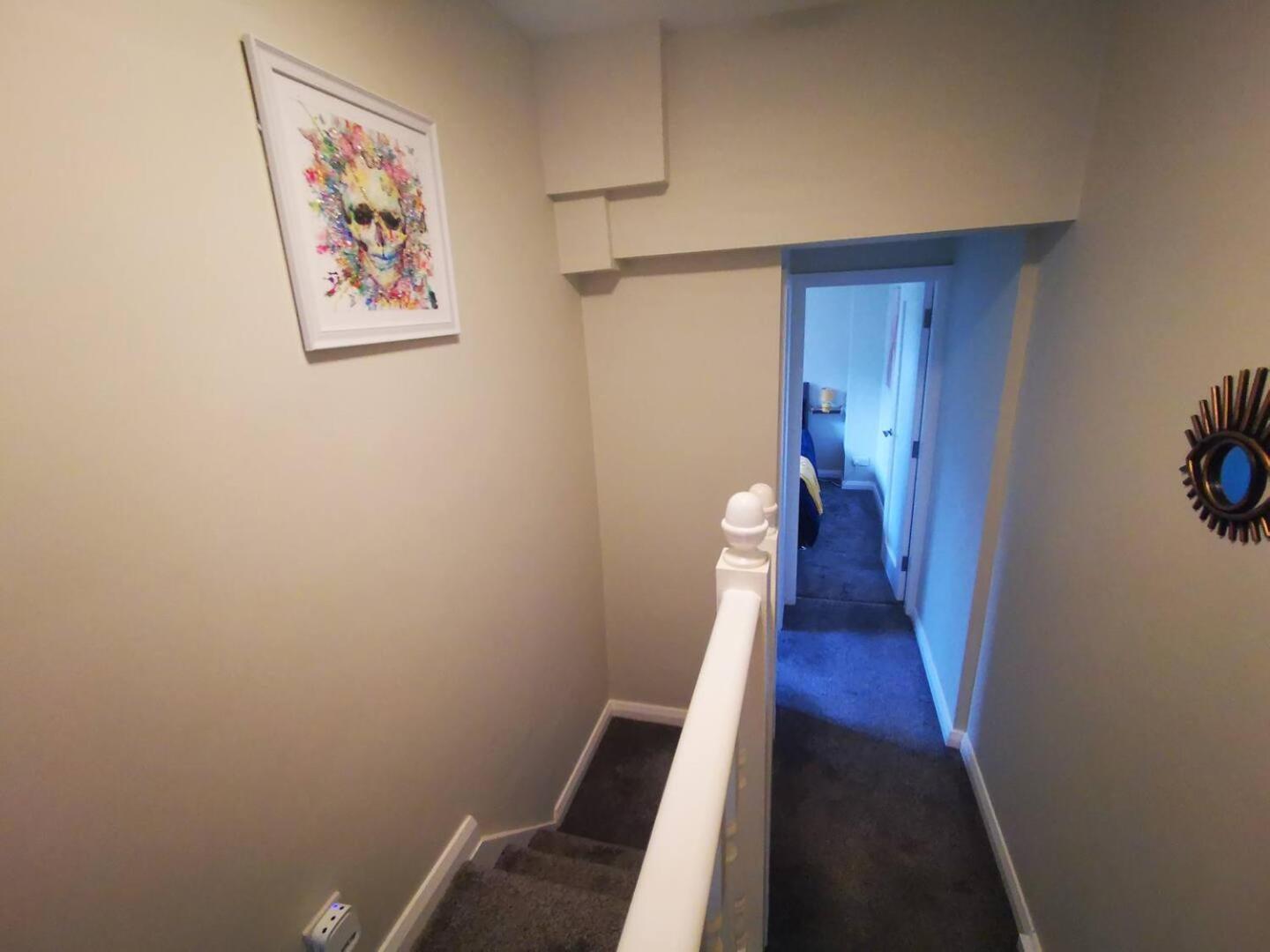 4Br Modern Botanic House Villa Belfast Dış mekan fotoğraf