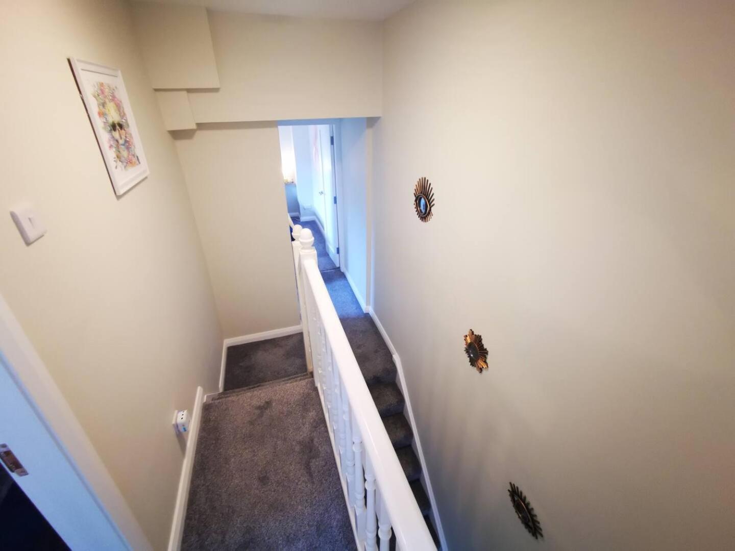 4Br Modern Botanic House Villa Belfast Dış mekan fotoğraf