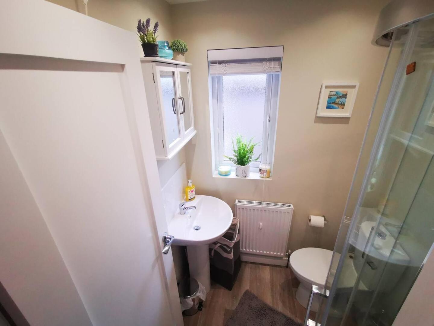 4Br Modern Botanic House Villa Belfast Dış mekan fotoğraf