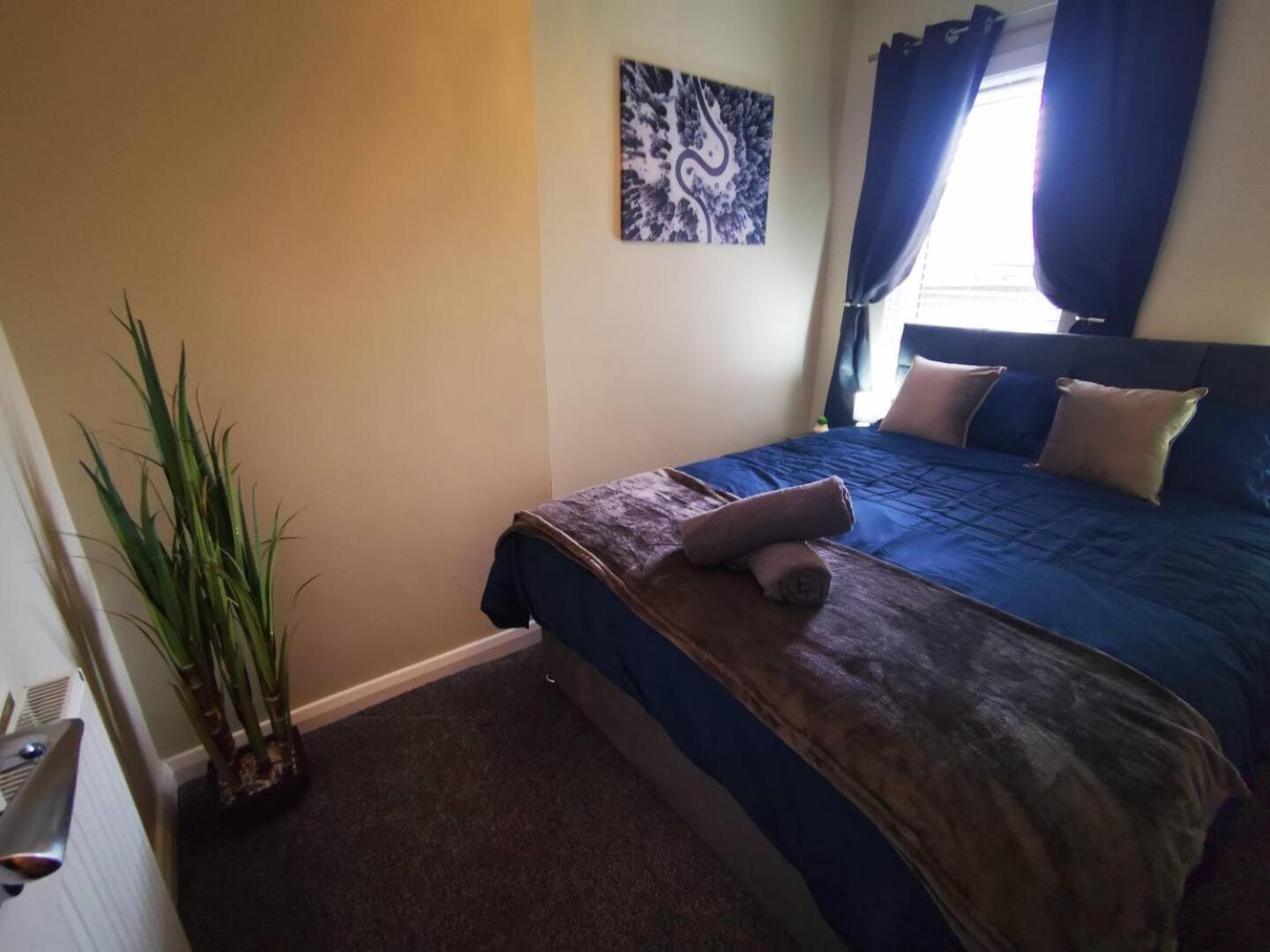 4Br Modern Botanic House Villa Belfast Dış mekan fotoğraf