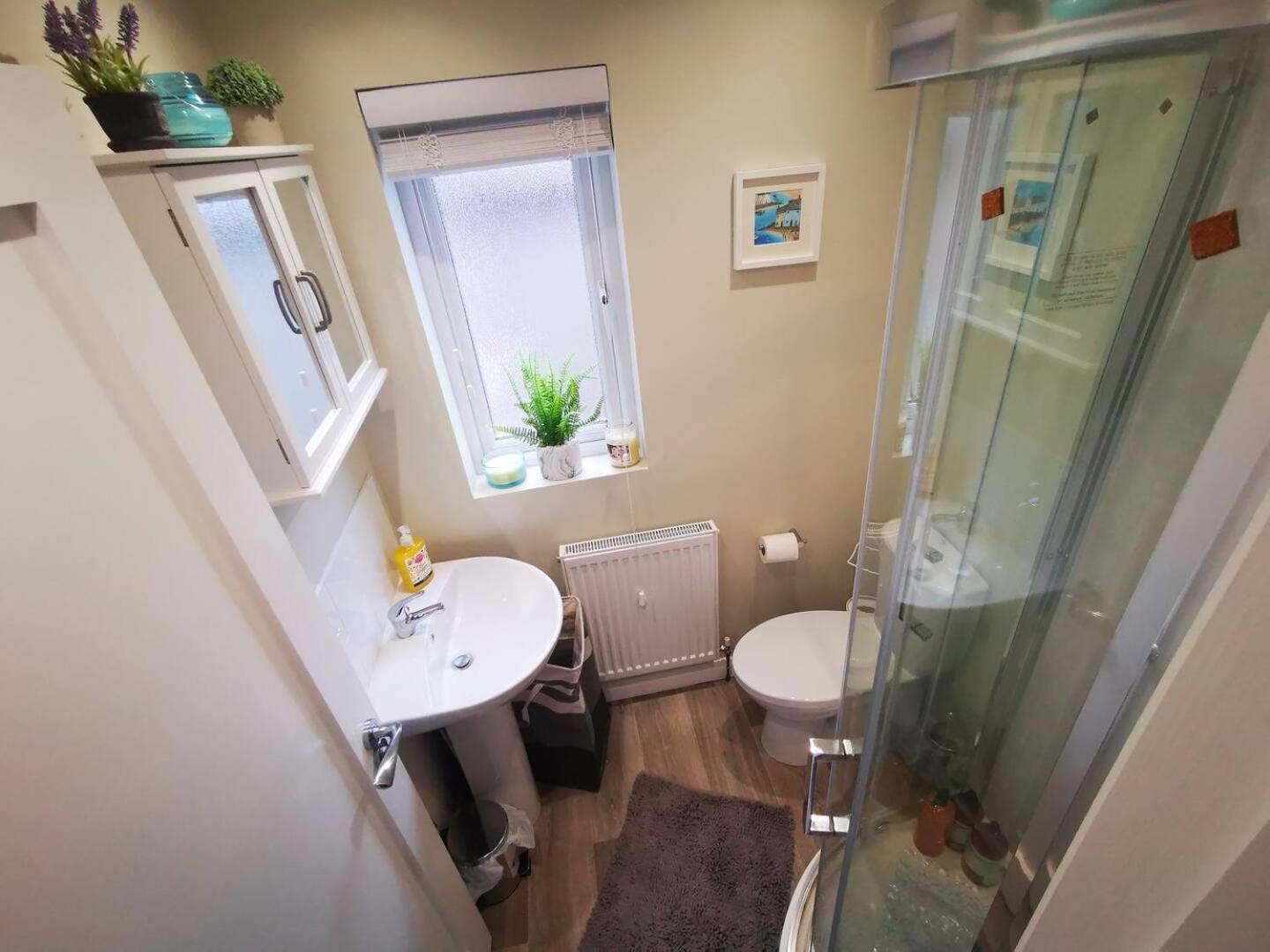 4Br Modern Botanic House Villa Belfast Dış mekan fotoğraf