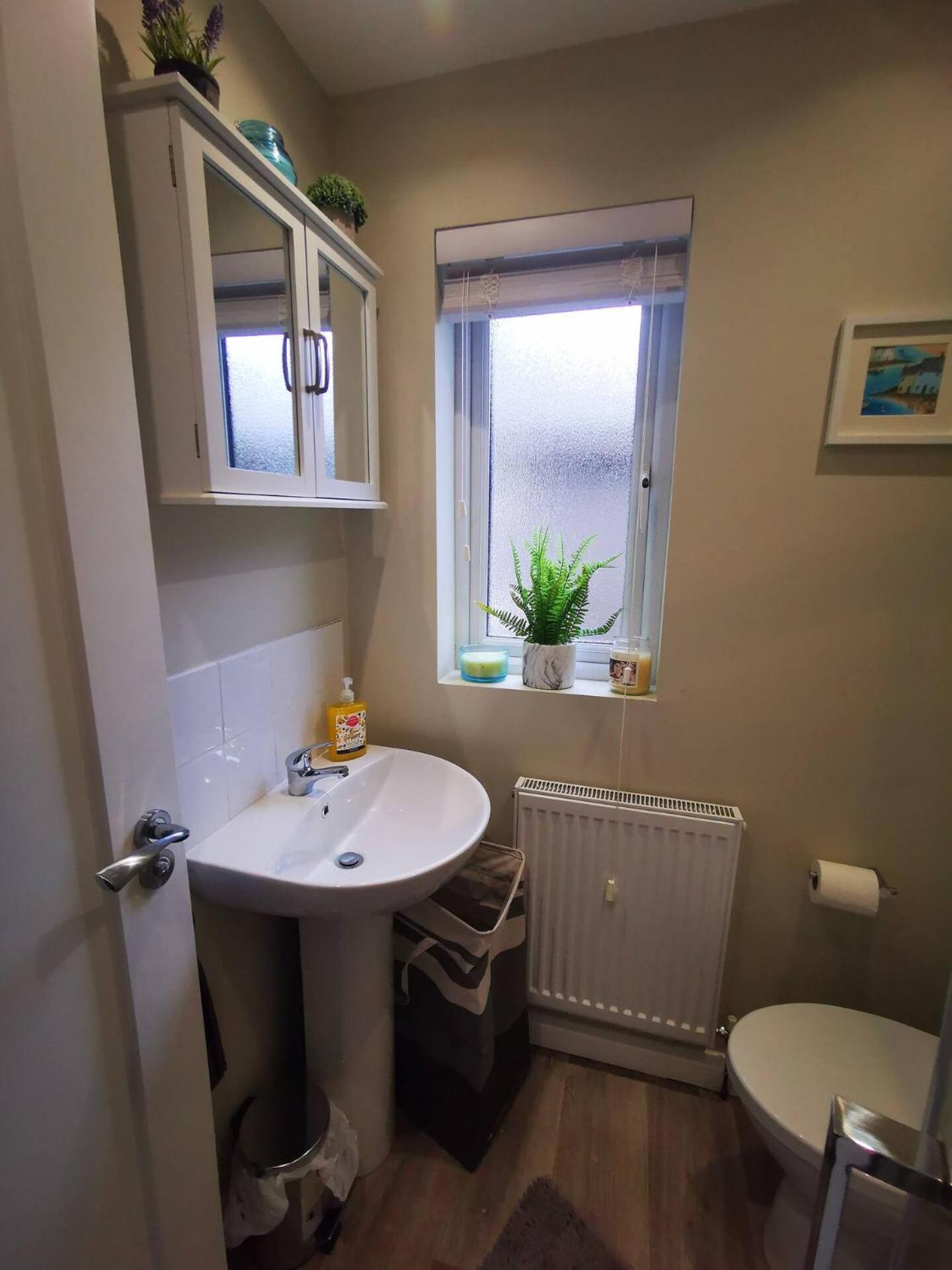 4Br Modern Botanic House Villa Belfast Dış mekan fotoğraf