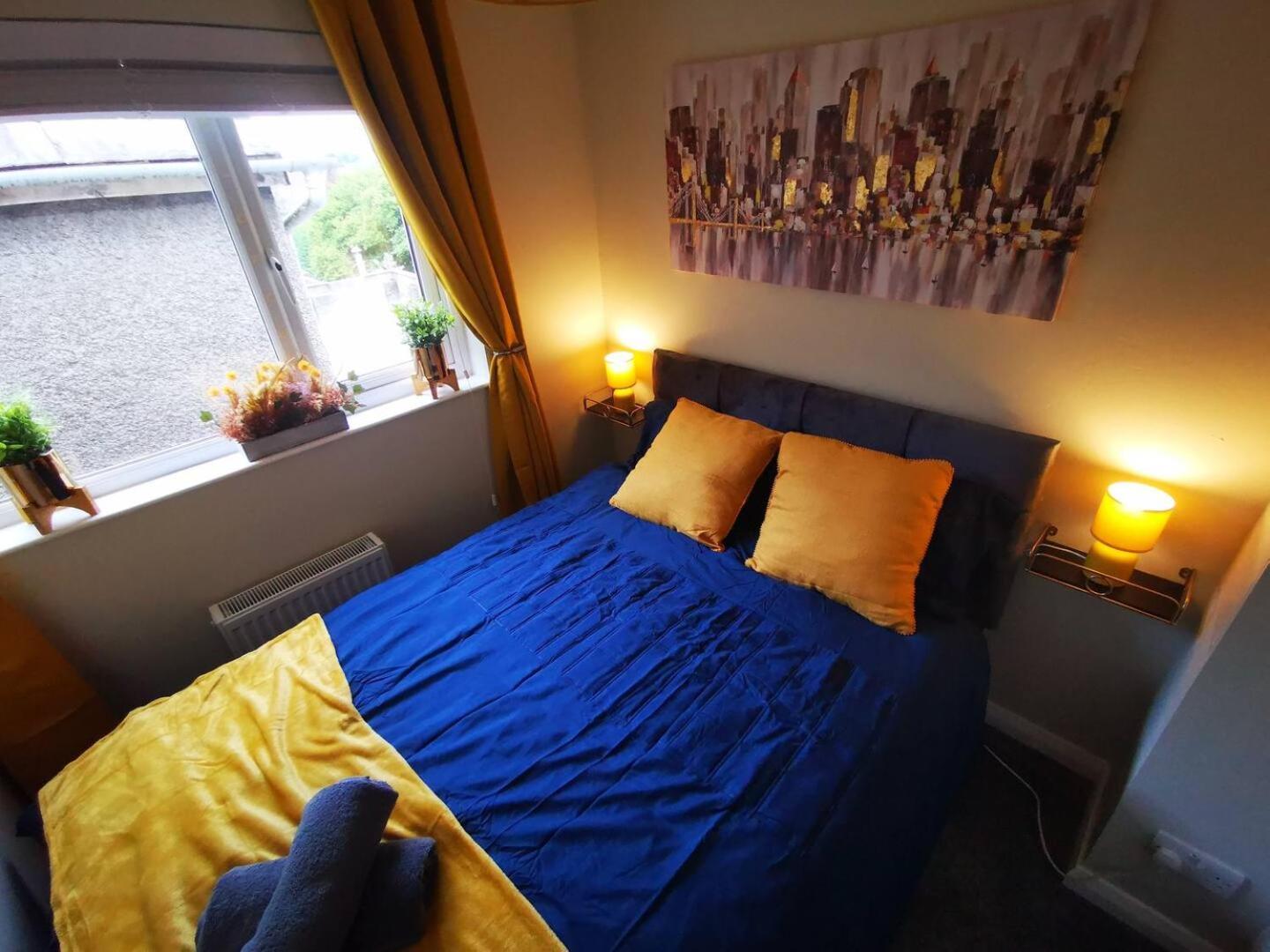4Br Modern Botanic House Villa Belfast Dış mekan fotoğraf